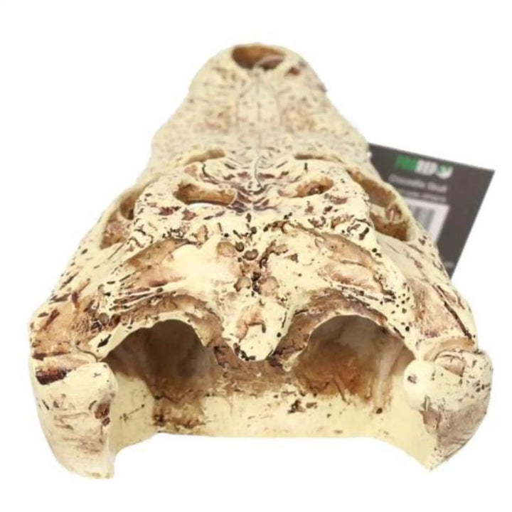 Prorep Resin Crocodile Skull Decor