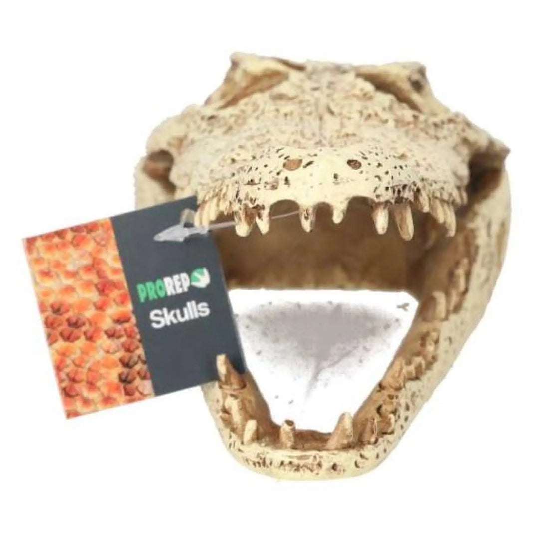 Prorep Resin Crocodile Skull Decor