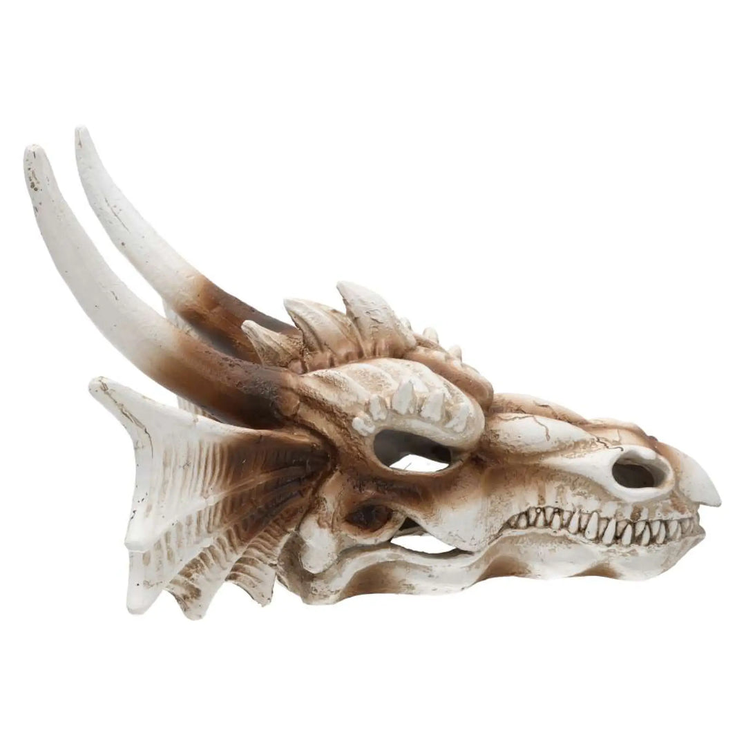 Prorep Resin Dragon Skull Decor