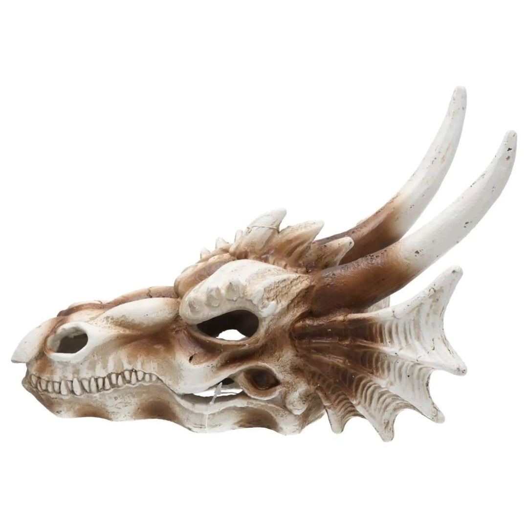 Prorep Resin Dragon Skull Decor