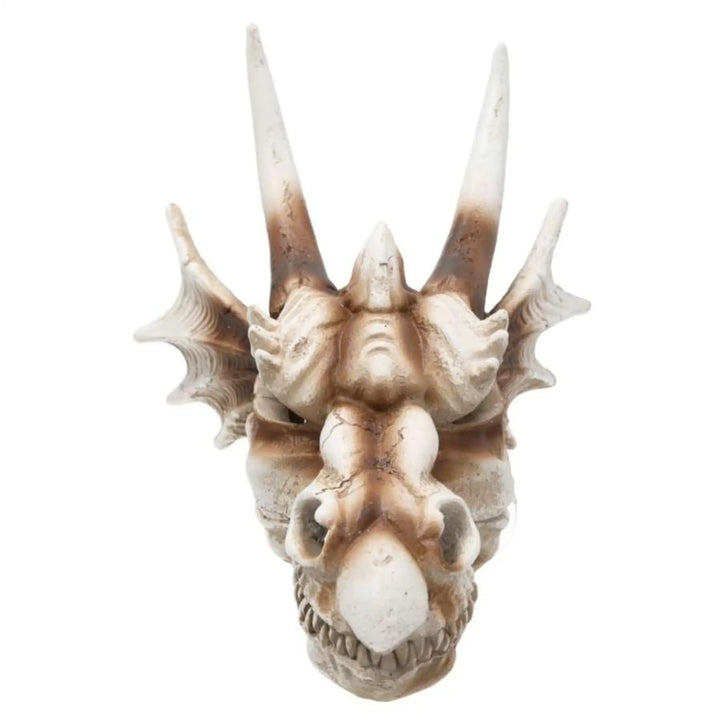 Prorep Resin Dragon Skull Decor