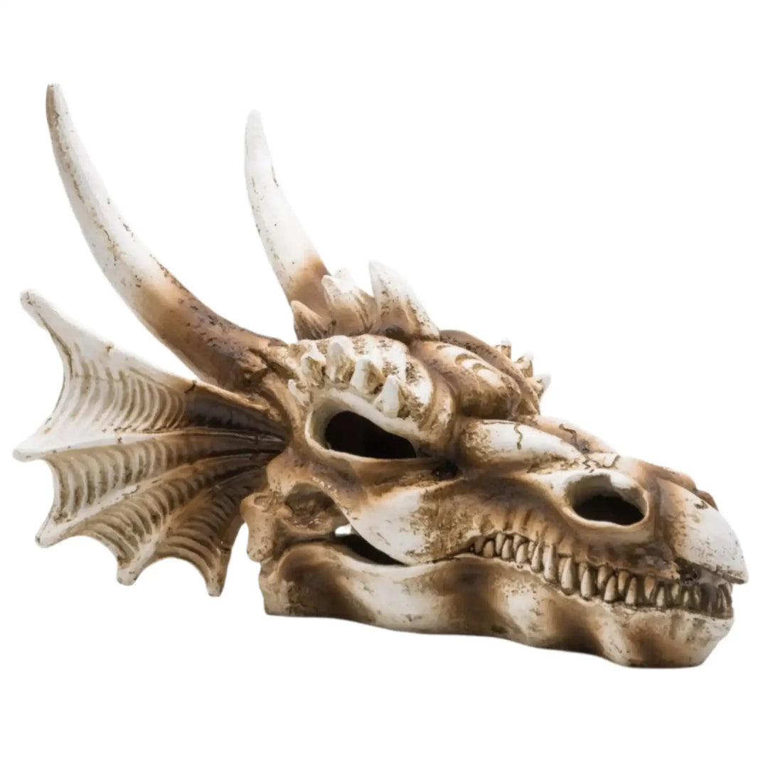 Prorep Resin Dragon Skull Large Decor