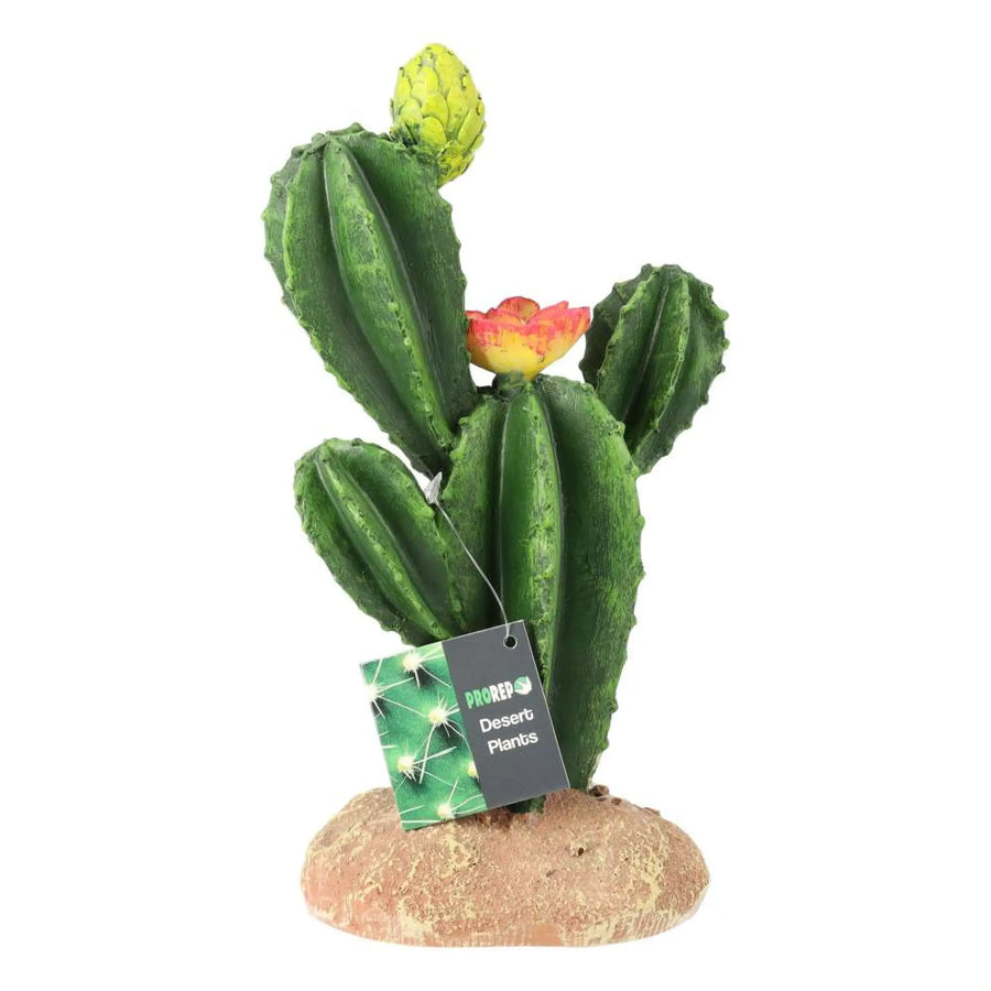 Prorep Resin Flowering Cactus Medium Decor