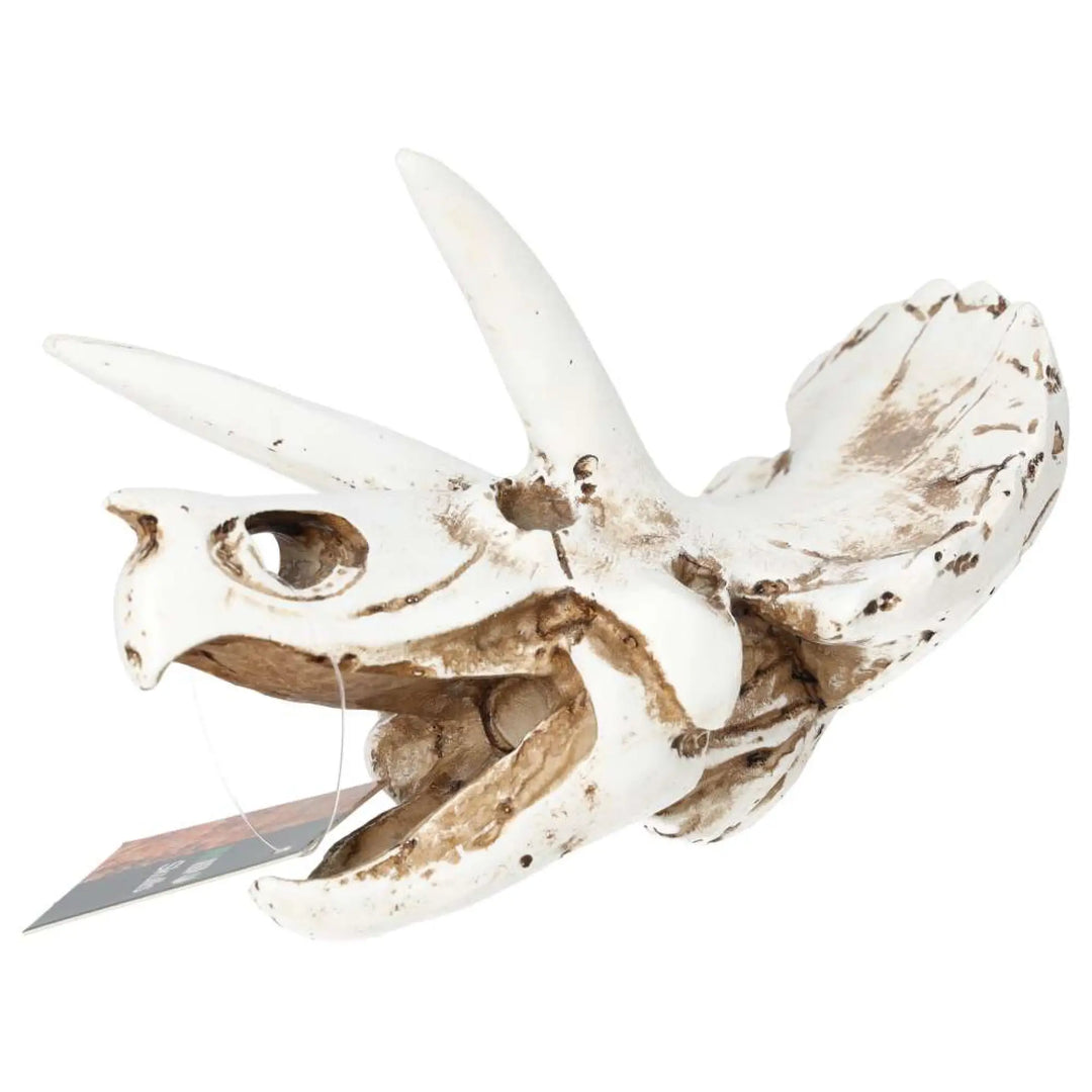 Prorep Resin Triceratops Skull Decor