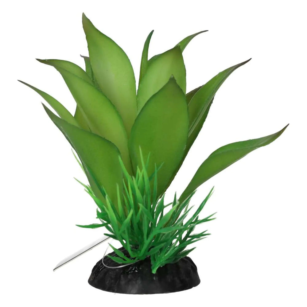 Prorep Sanseviria Plant Decor