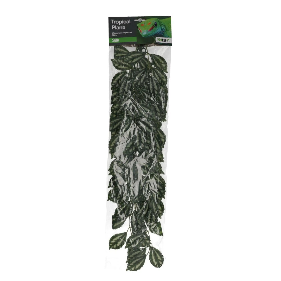 ProRep Watermelon Peperomia Silk Hanging Plant