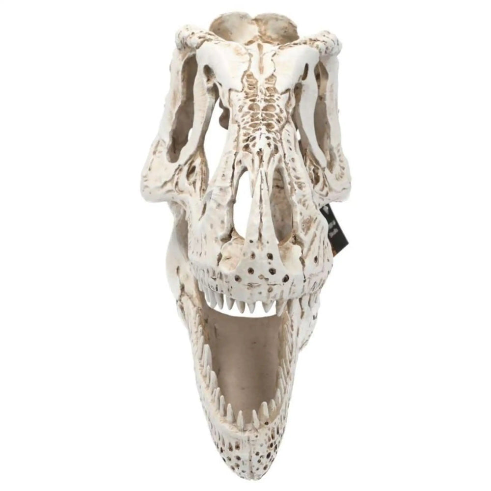 Prorep Xl T-Rex Skull Decor