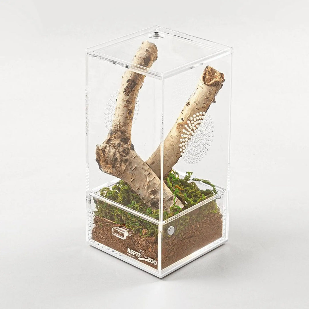 Reptizoo Acrylic Case With Removable Tray Housing