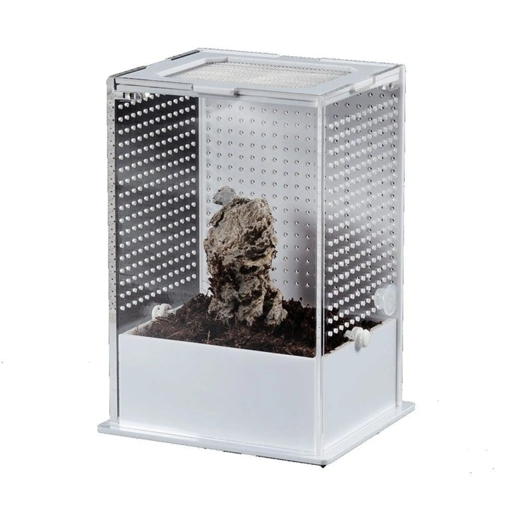 Reptizoo Insect Acrylic Box White Base 10X8.5X15Cm Housing