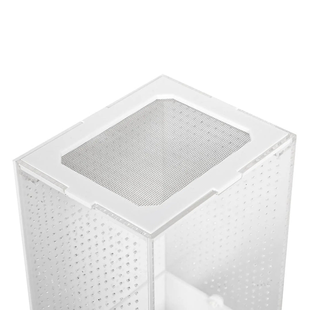 Reptizoo Insect Acrylic Box White Base Housing