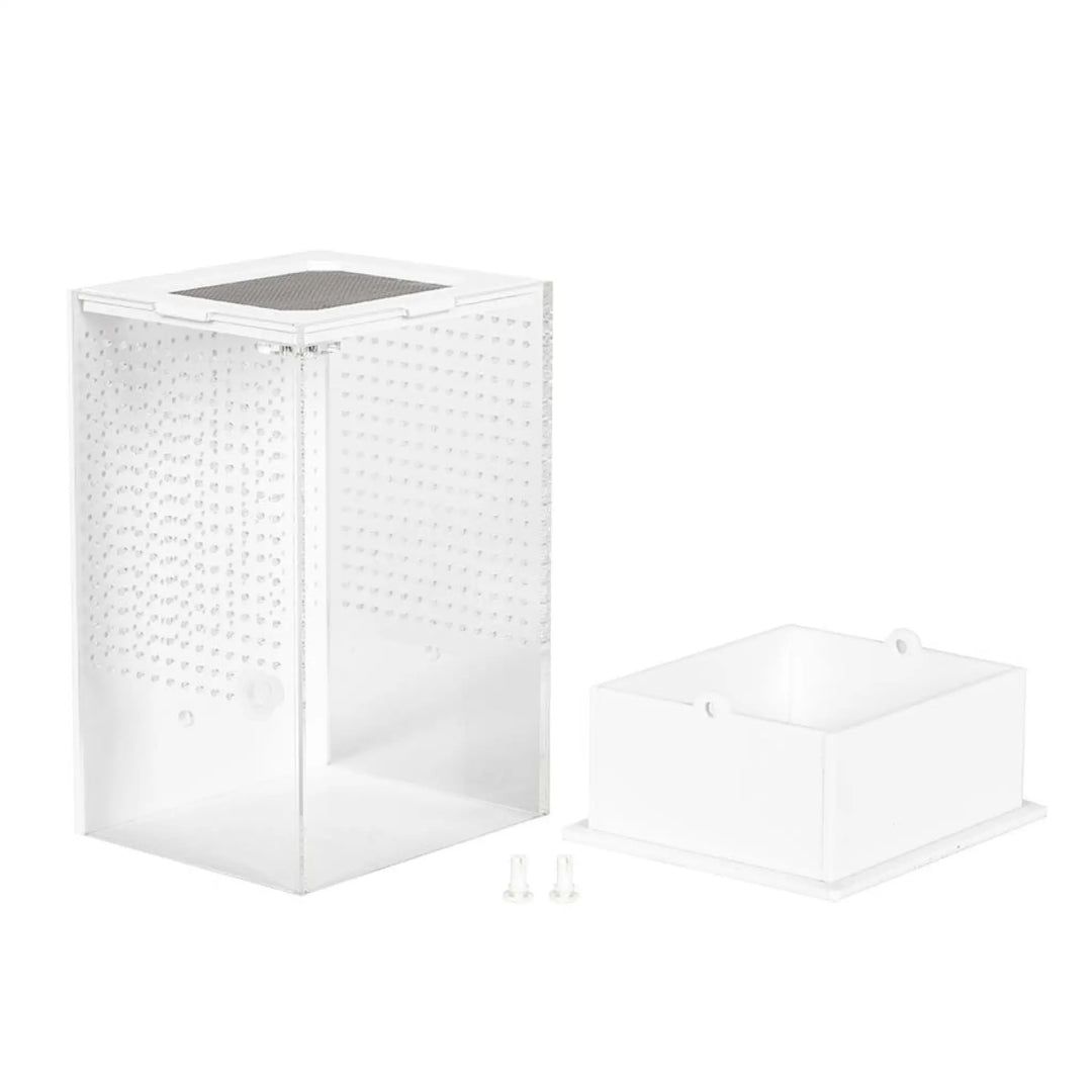 Reptizoo Insect Acrylic Box White Base Housing