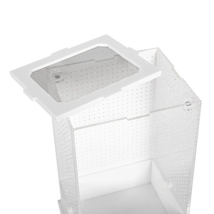 Reptizoo Insect Acrylic Box White Base Housing