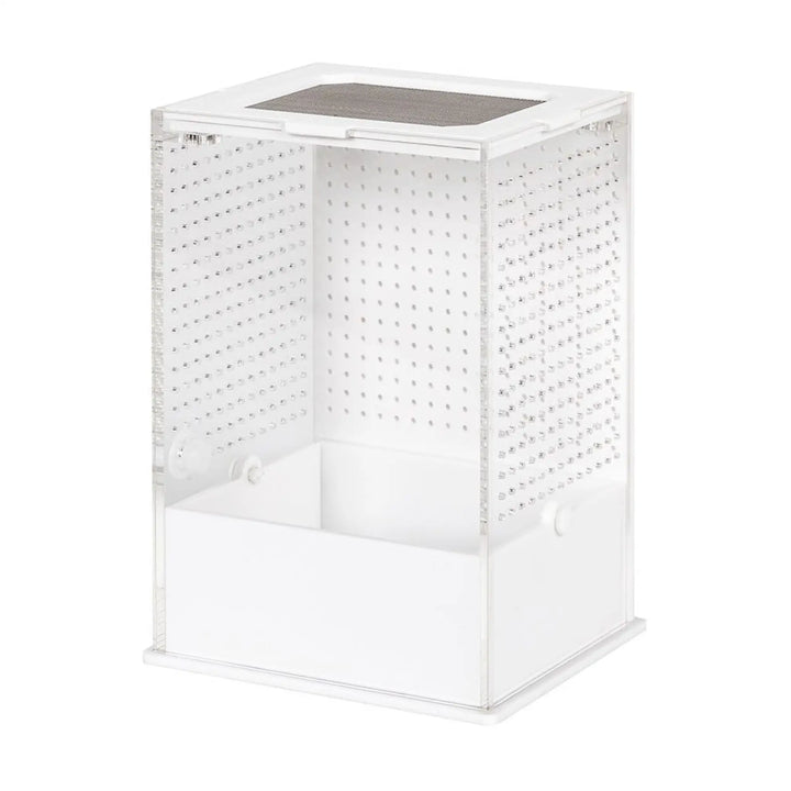 Reptizoo Insect Acrylic Box White Base Housing