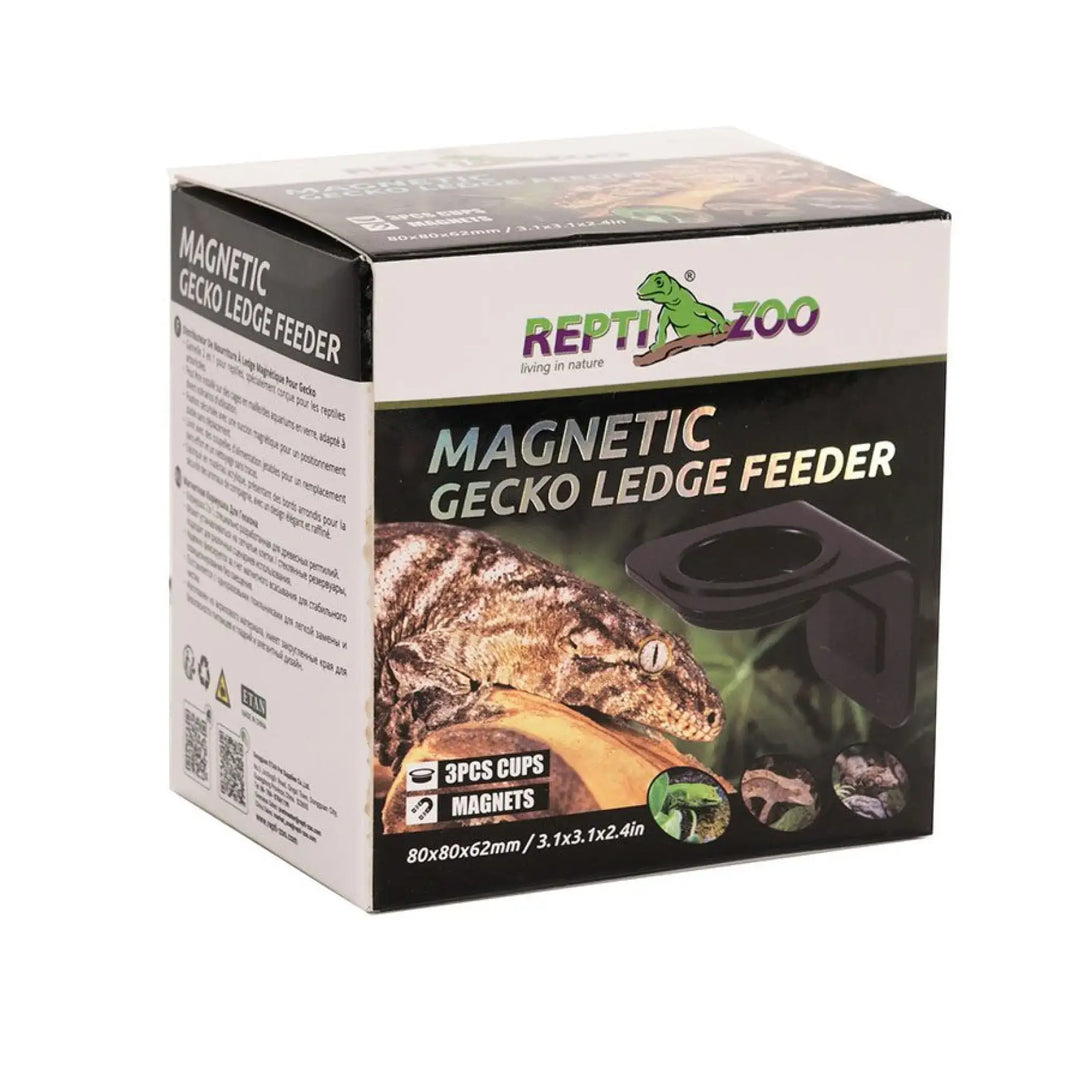 Reptizoo Magnetic Arboreal Feeder 8X8Cm Decor