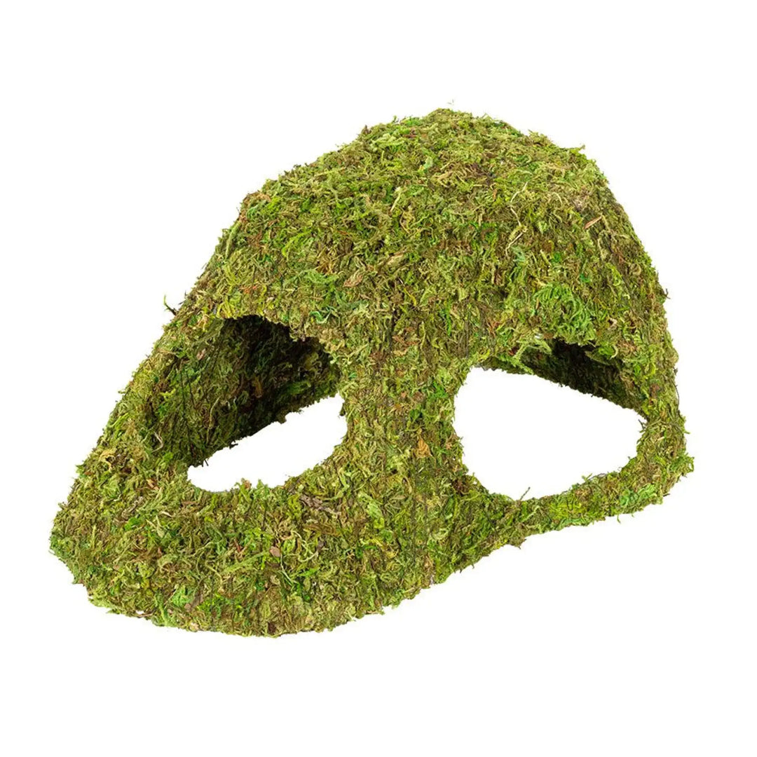 Reptizoo Natural Moss Dome Decor