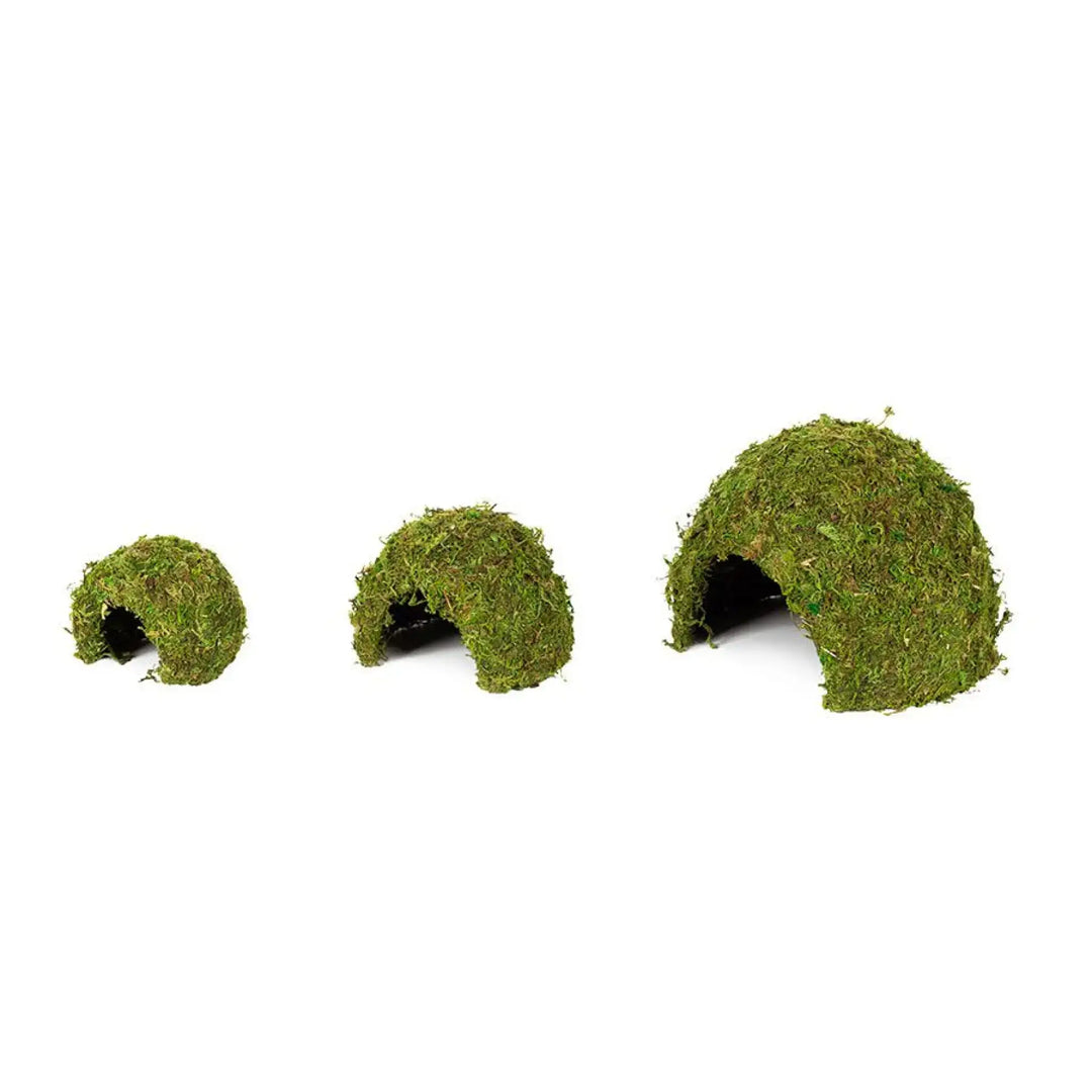 Reptizoo Natural Moss Dome Decor