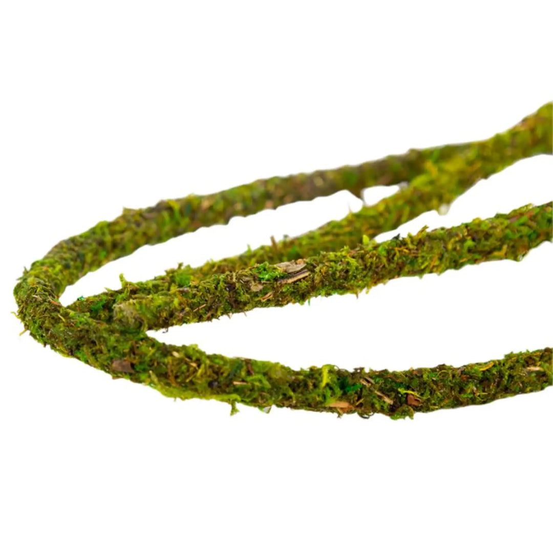 Reptizoo Natural Moss Vine Decor