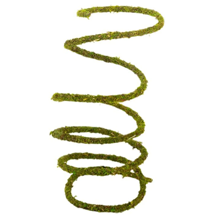 Reptizoo Natural Moss Vine Decor