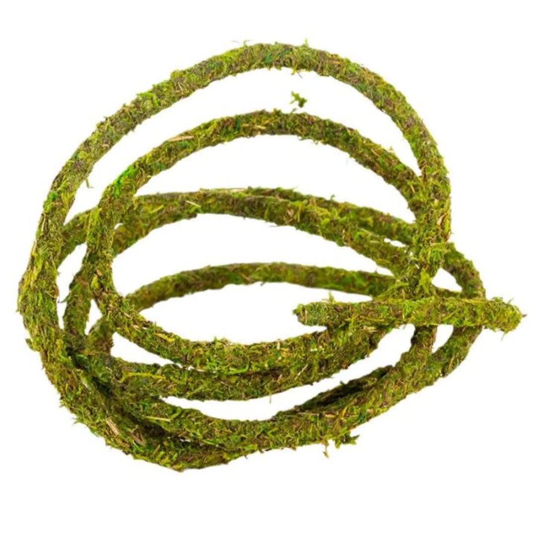 Reptizoo Natural Moss Vine Decor