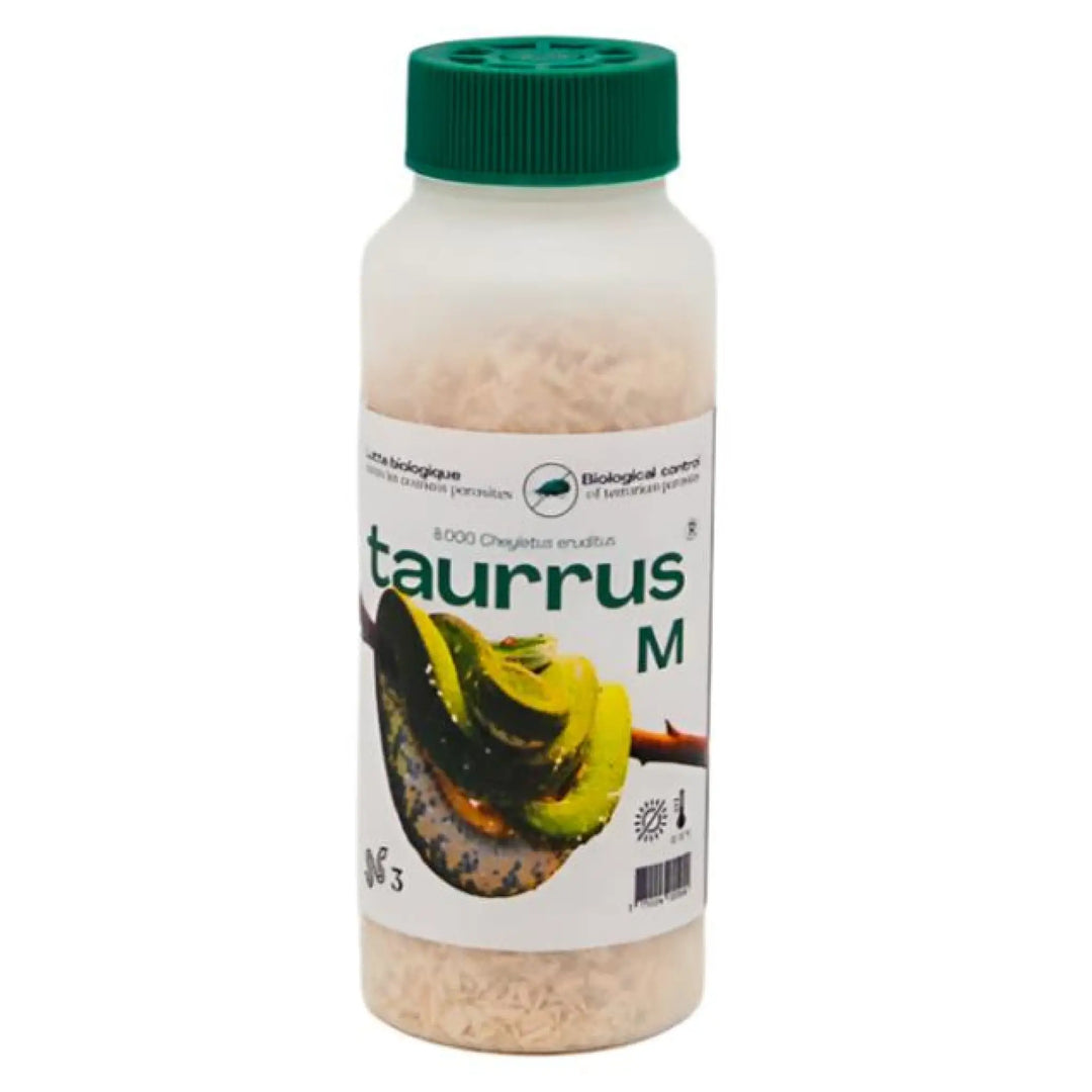 Taurrus Live Predatory Mites Medium Hygiene Products