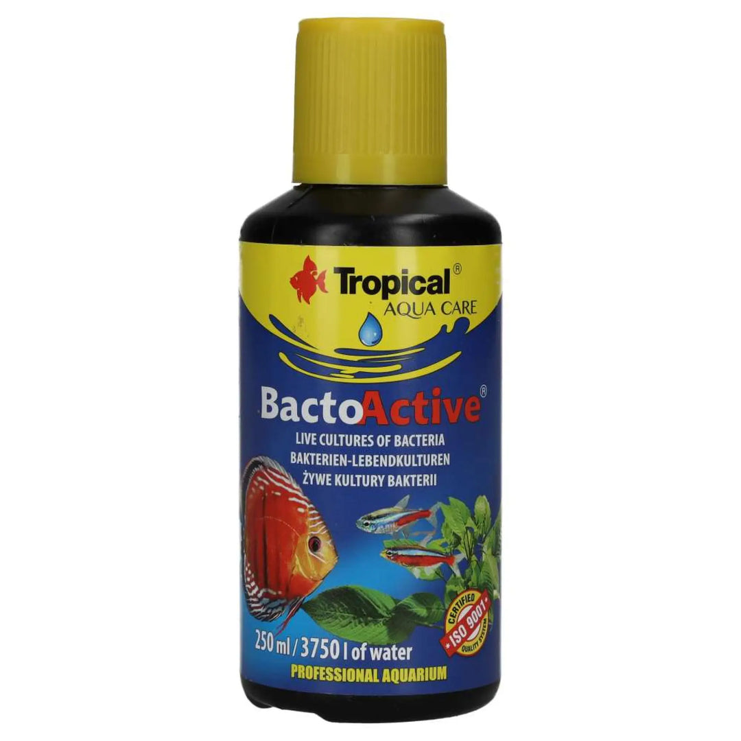 Tropical Bacto-Active 250ml - large black bottle with blue and yellow label