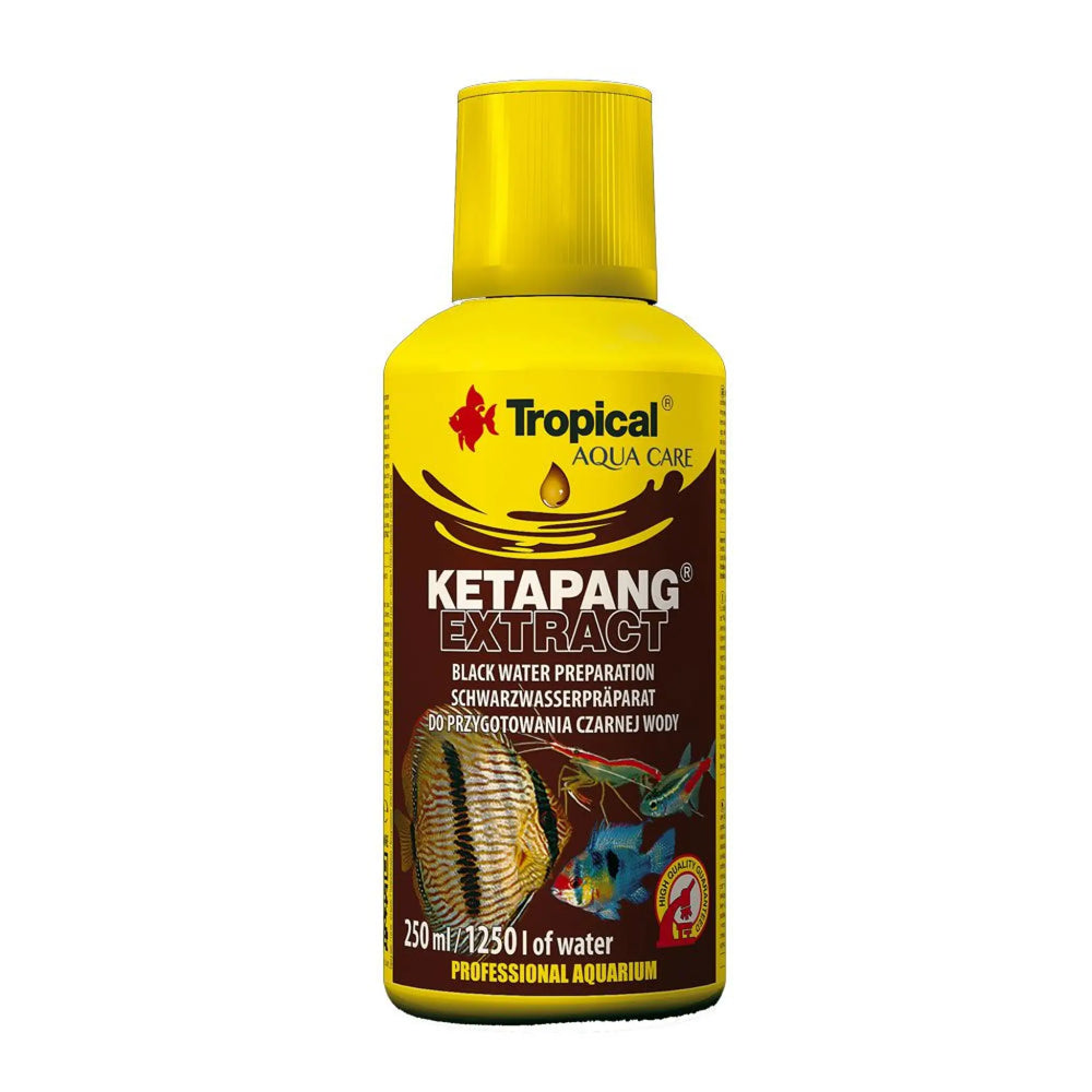 Tropical Ketapang Extract 250ml - large screw top yellow bottle aqua care