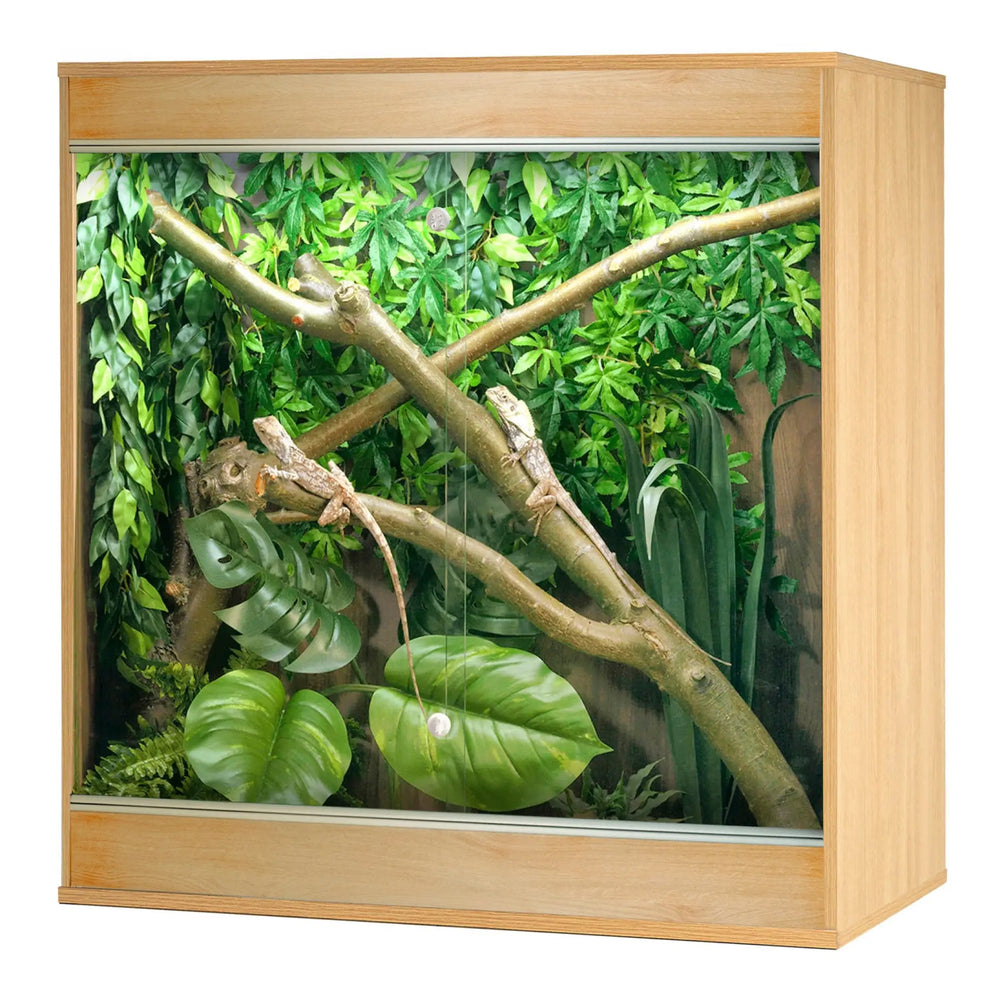 Arboreal reptile enclosure best sale