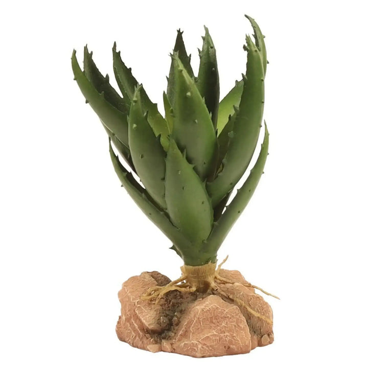 Zoo Med Desert Flora Green Aloe Decor