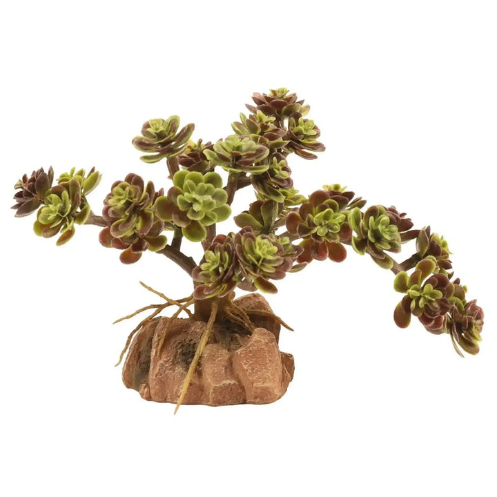 Zoo Med Desert Flora Red Leaf Stonecrop Decor