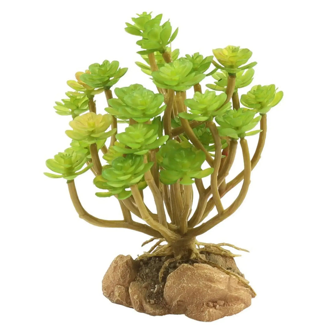 Zoo Med Desert Flora Tree Houseleek Decor